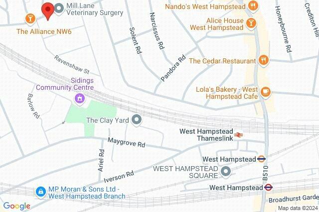 Google Maps Image
