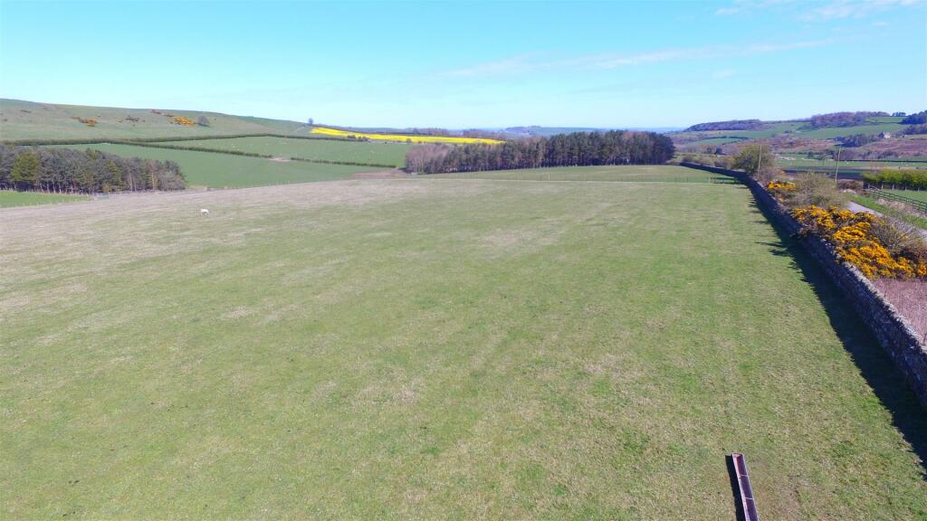 DJI_0503.JPG