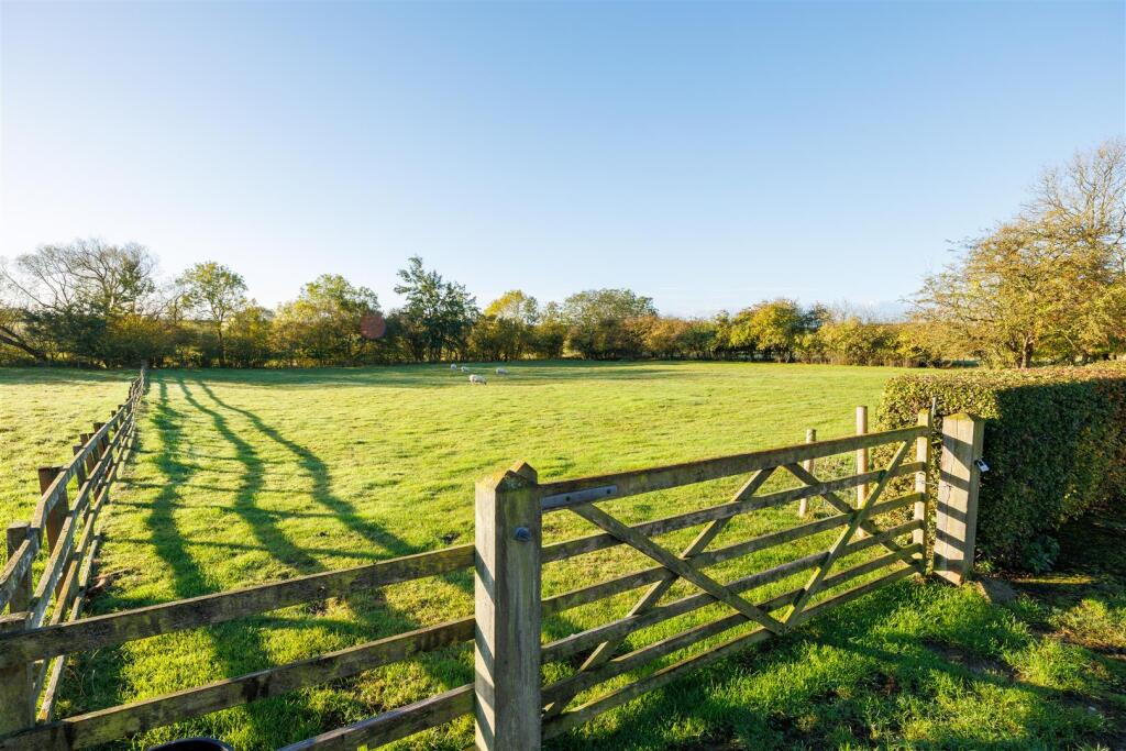Watson Field Farm Paddock