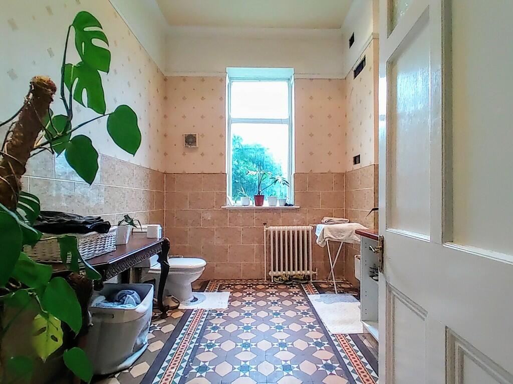 IMG_20240325_1224...