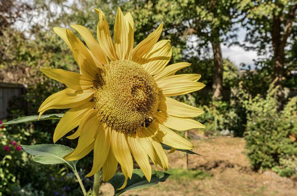 13439042168b20832c2512