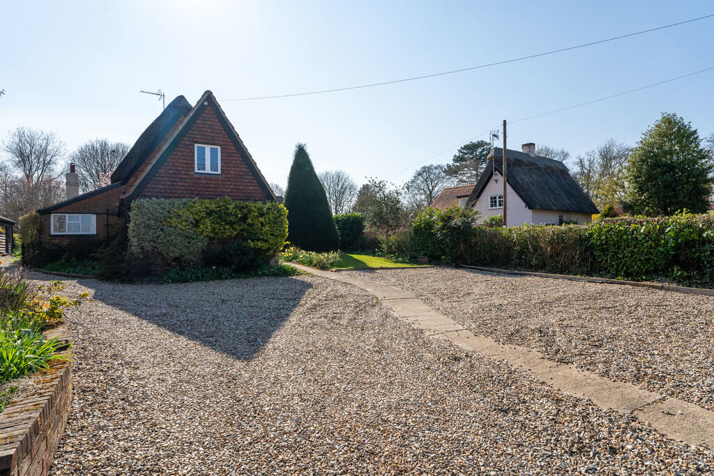Yew Tree-17