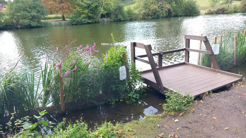 PHOTO-2025-09-10-12-56-10 (007).jpg