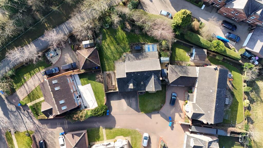 DJI_20250306100544_0718_D.JPG