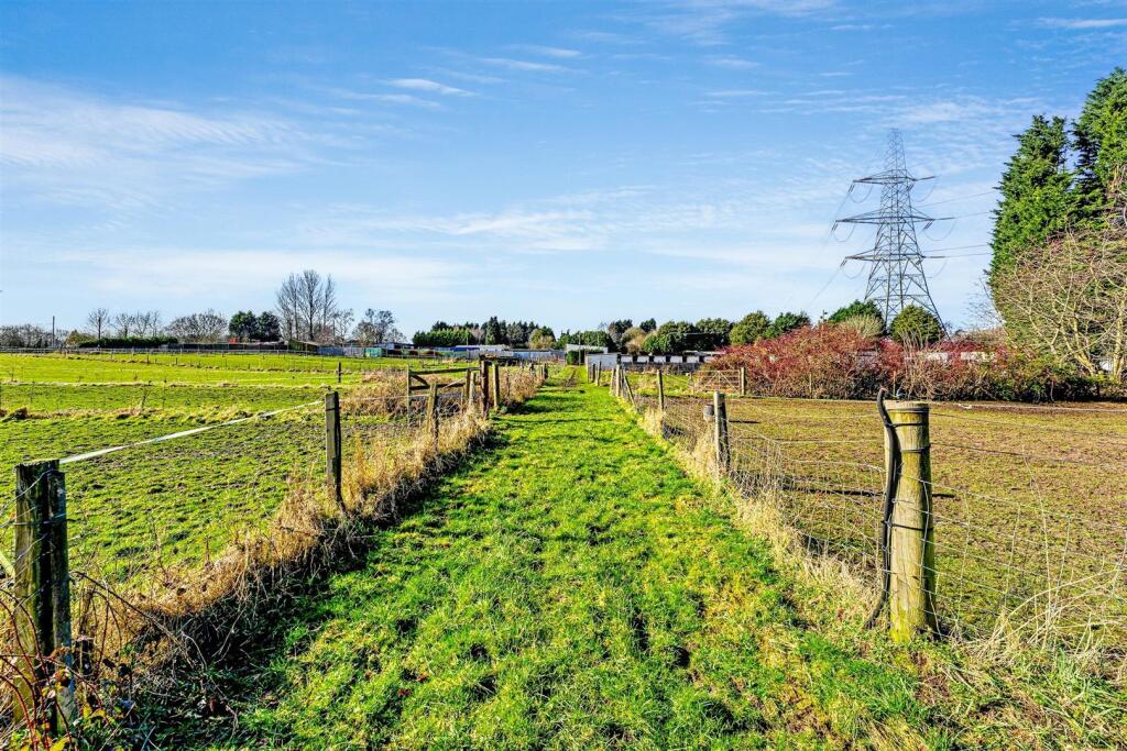 Fields 3