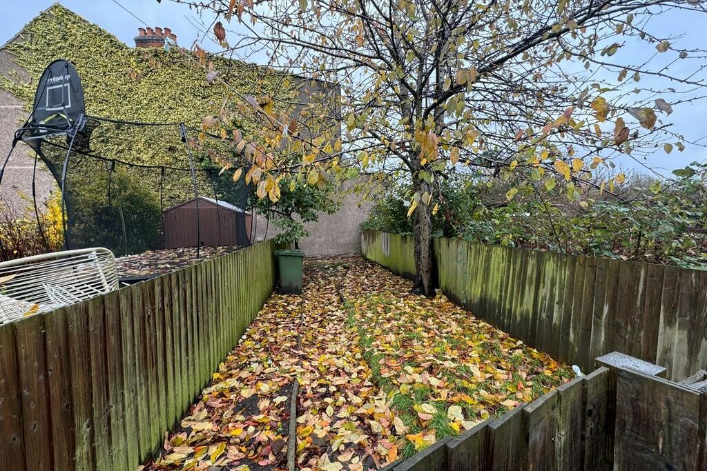 PHOTO-2024-11-19-...