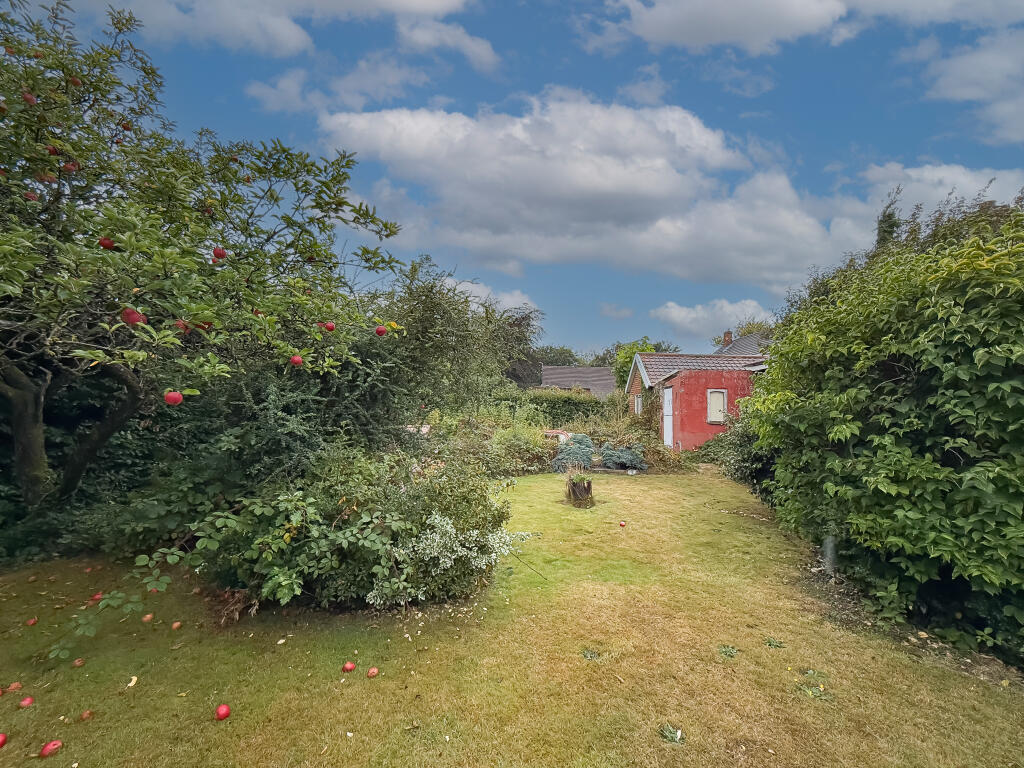 IMG 4159 T202509171429.jpg