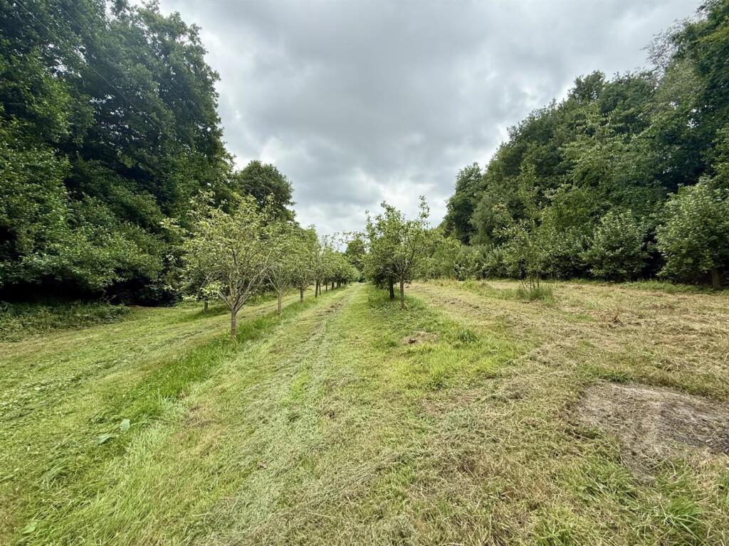 Appletrees3.jpg