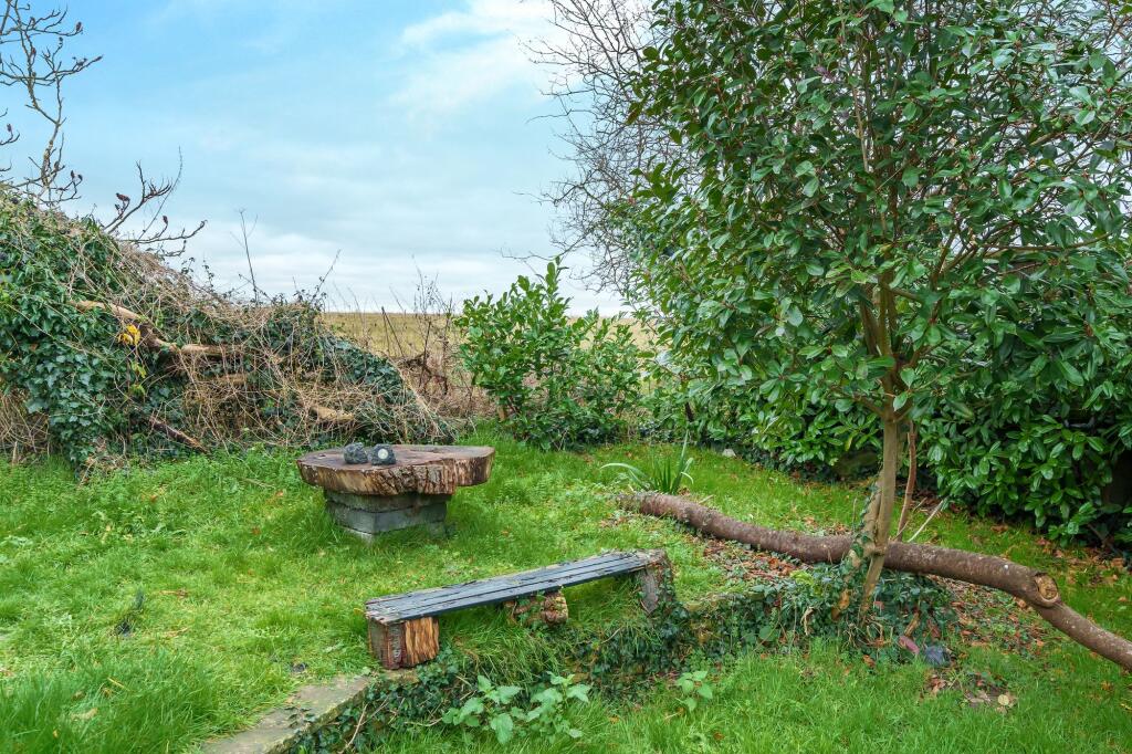Garden (4)