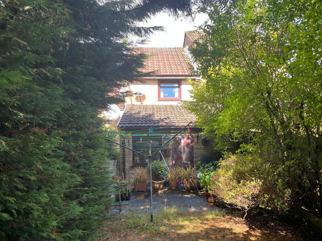 WhatsApp Image 20...