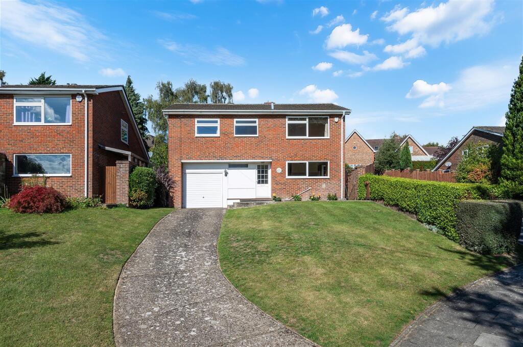 ROSE BUSHES, 15- (3).jpg