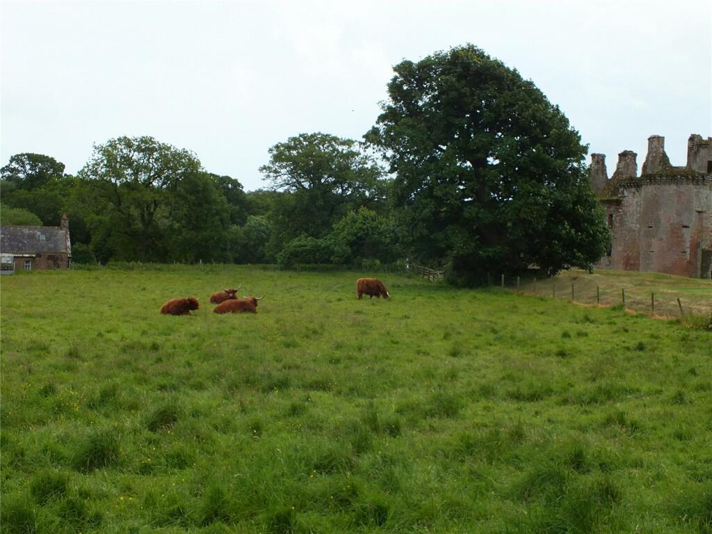 Fields and Castle