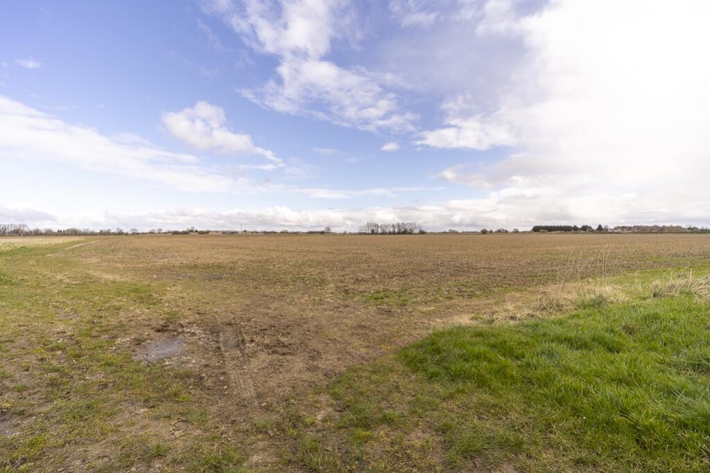 Land, Cheal Road (Gosberton)-11
