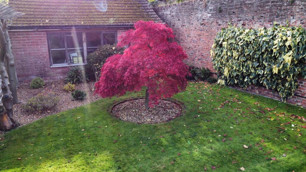 Photo 29-10-2025, 12 01 24.jpg