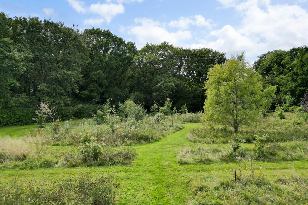 Meadow