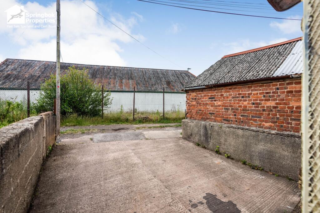 IMAGE 8