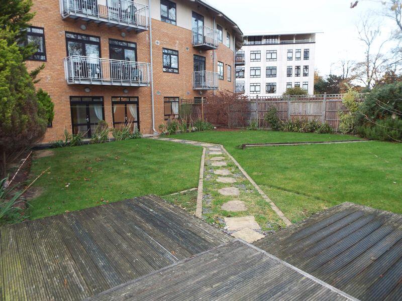 Garden rear view 