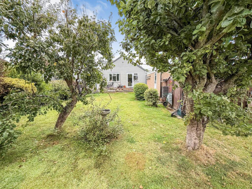 Rear Gardens