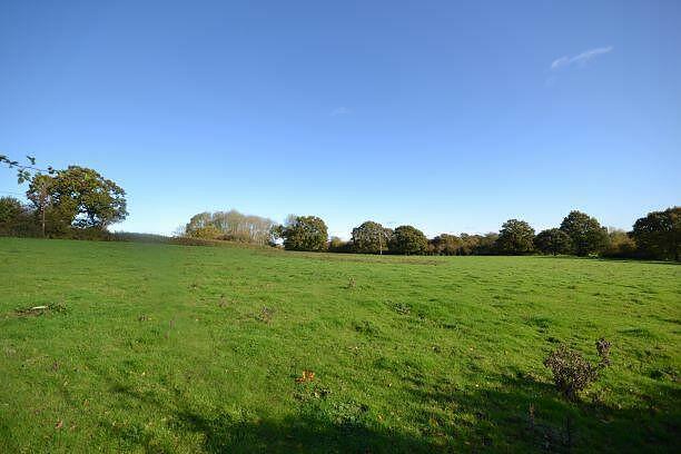 Local Vista