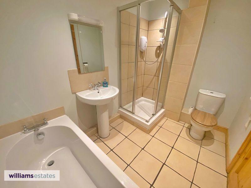 Downstairs Bathroom 
