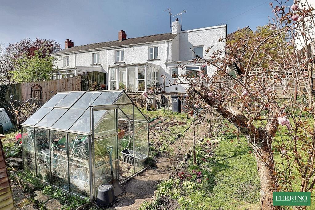 Vegetable Garden