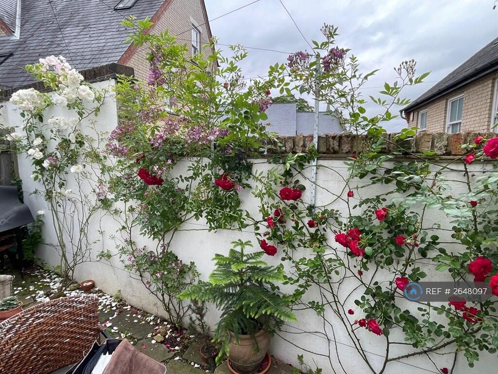 The Arbour 2 2024
