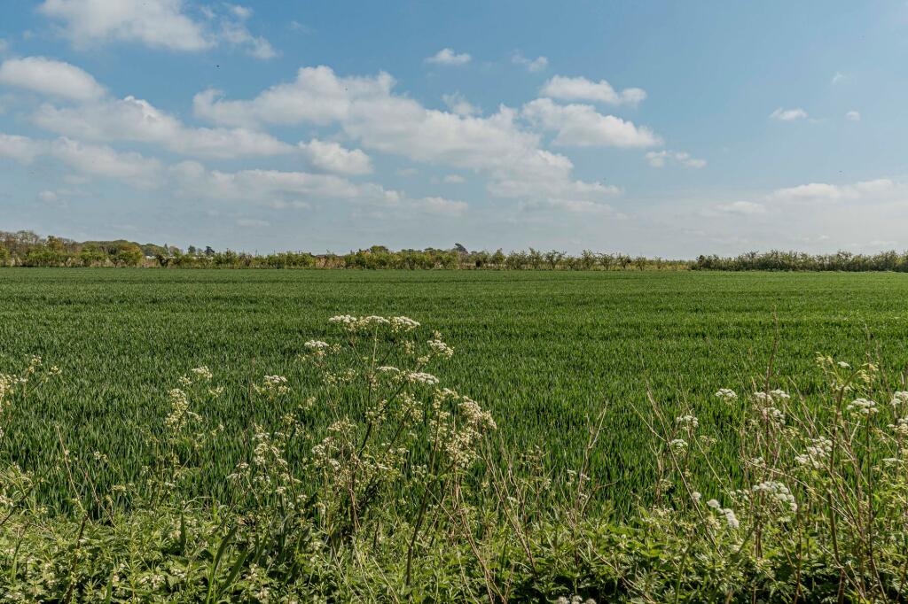 Field View (1)
