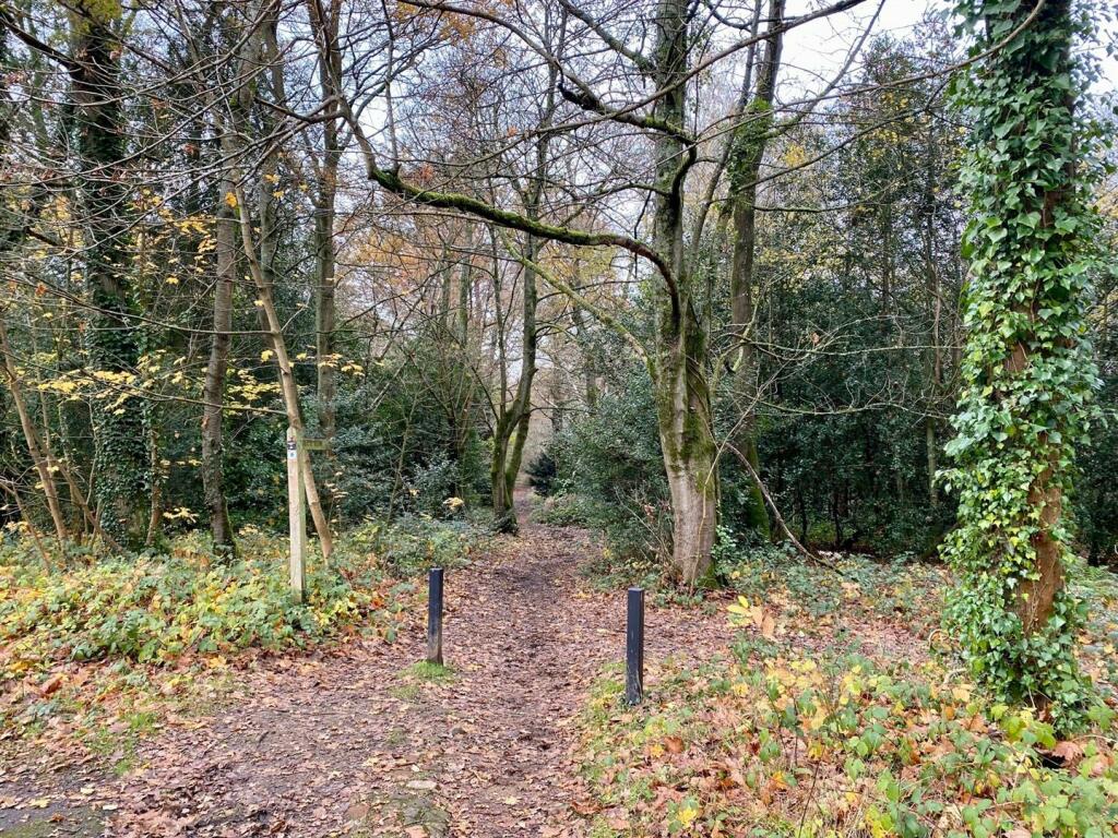 Chart footpath (ii).jpg