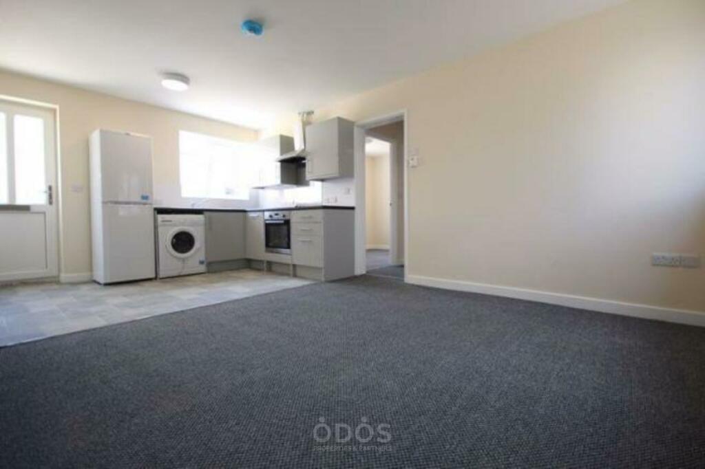 Kitchen/Living Area