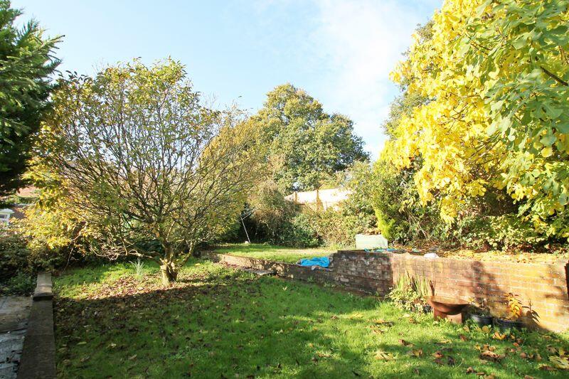 Communal Garden