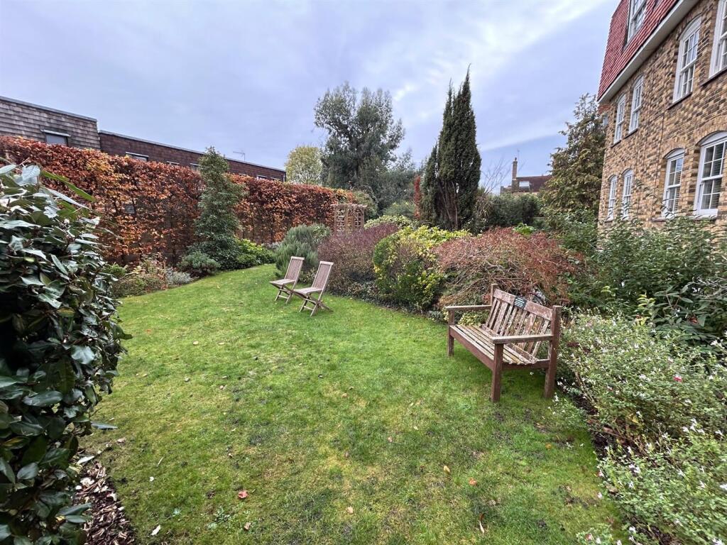 garden.jpg