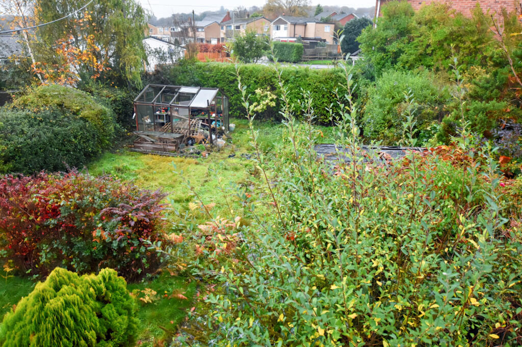 Rear Garden 2