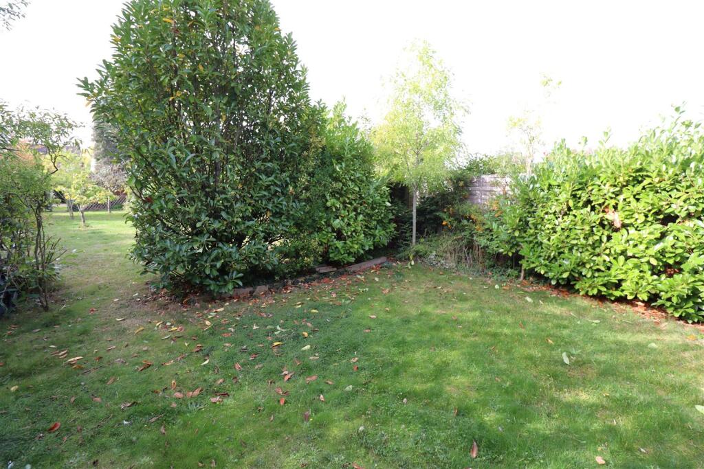 Garden (7).JPG