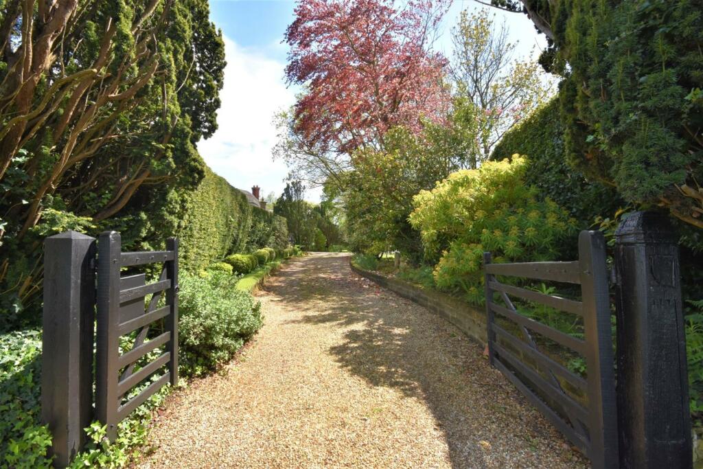 Driveway.jpg