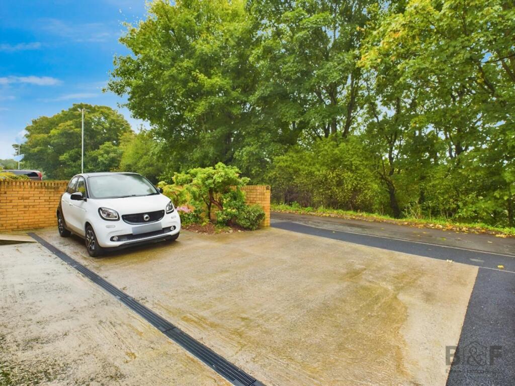 8c94a78b-5.jpg