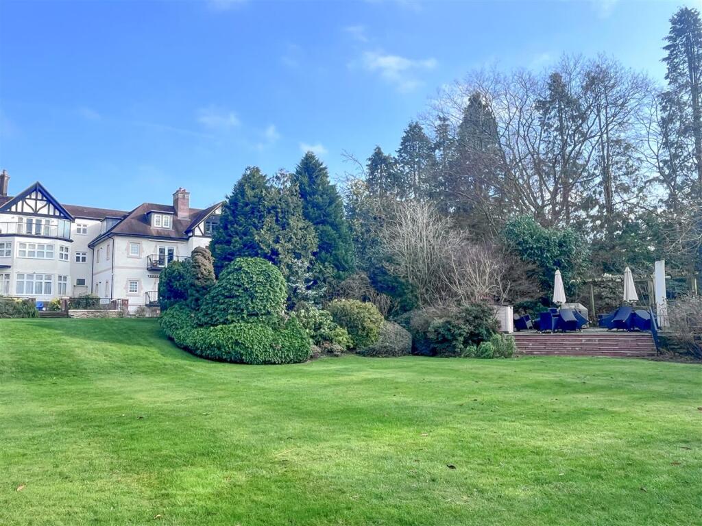 garden 3.jpg