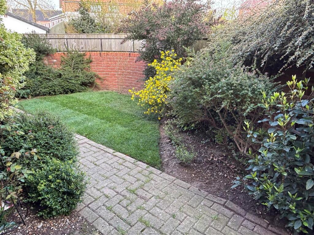 Image 9.jpg