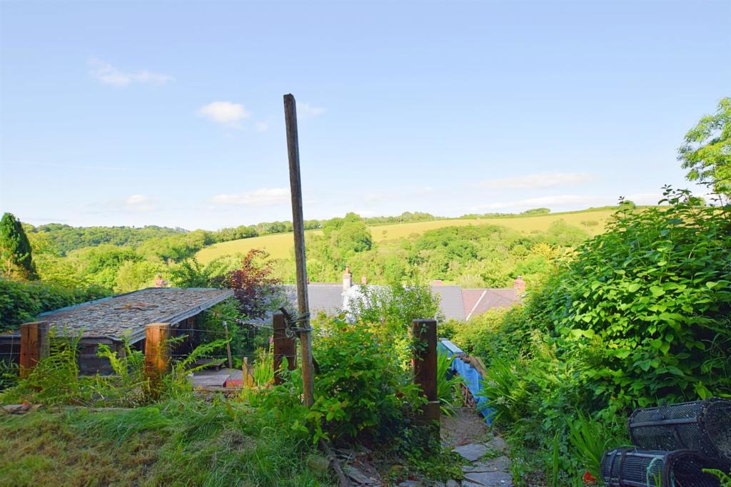 View From Rear Garden