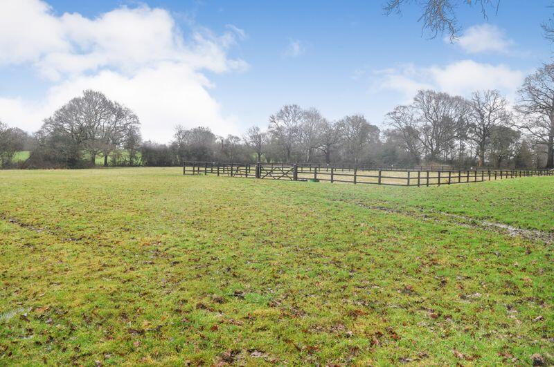 School and Grazing