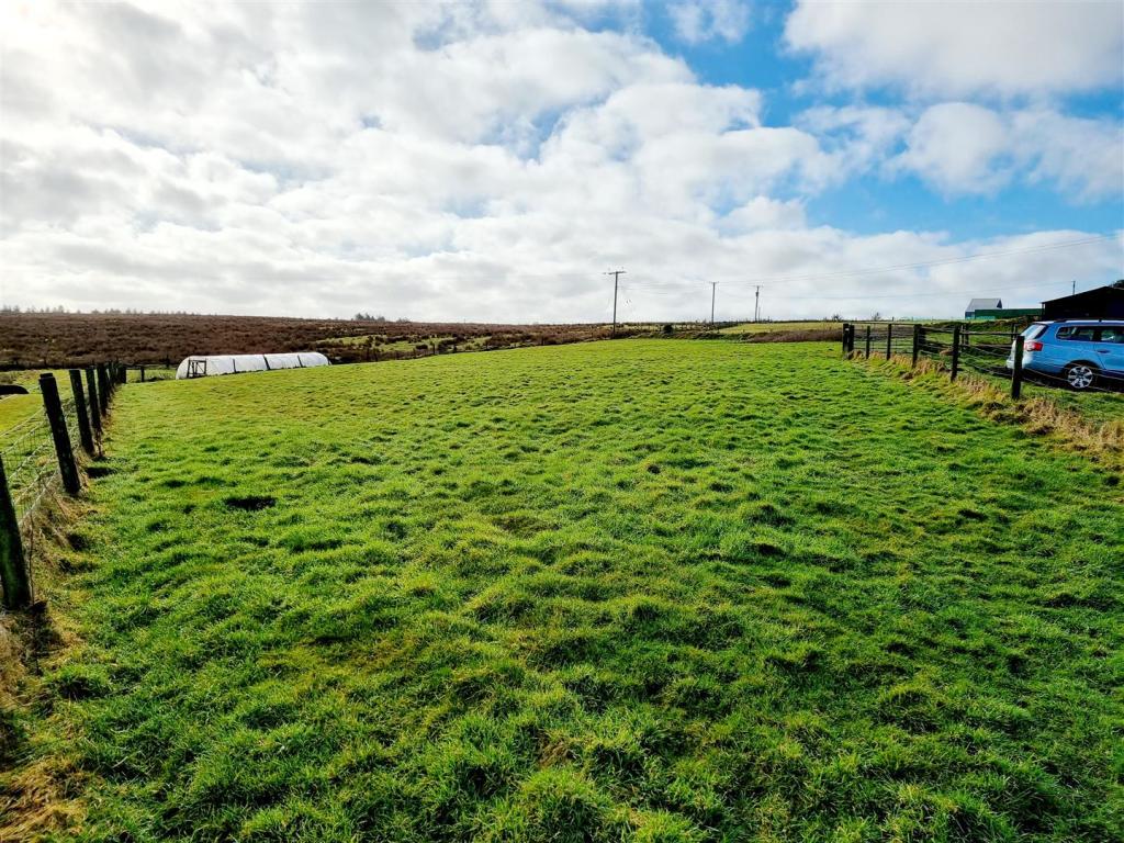 Top Field