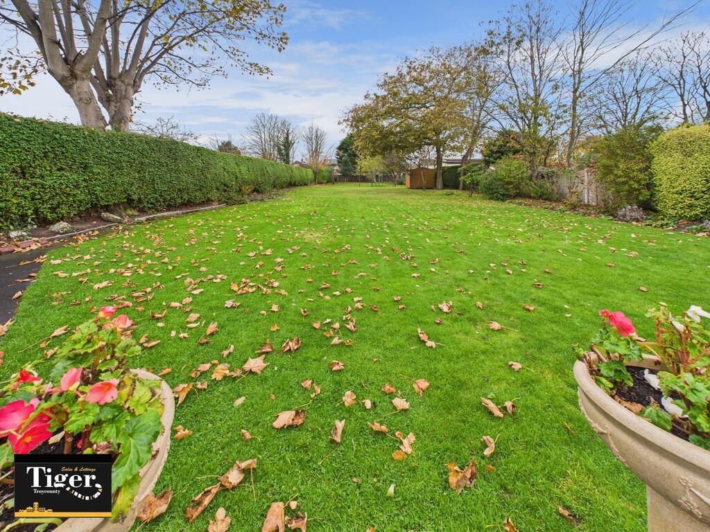 CAM02176G0-PR0745...