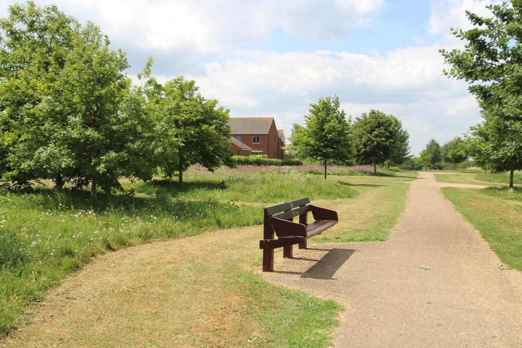 Local Walks and park