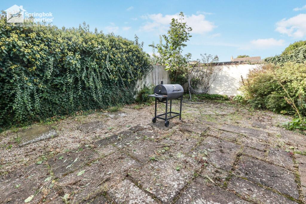 IMAGE 12