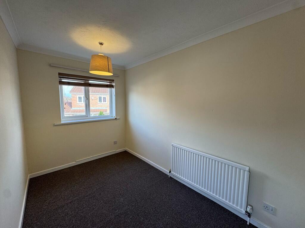 IMG-20250224-WA00...