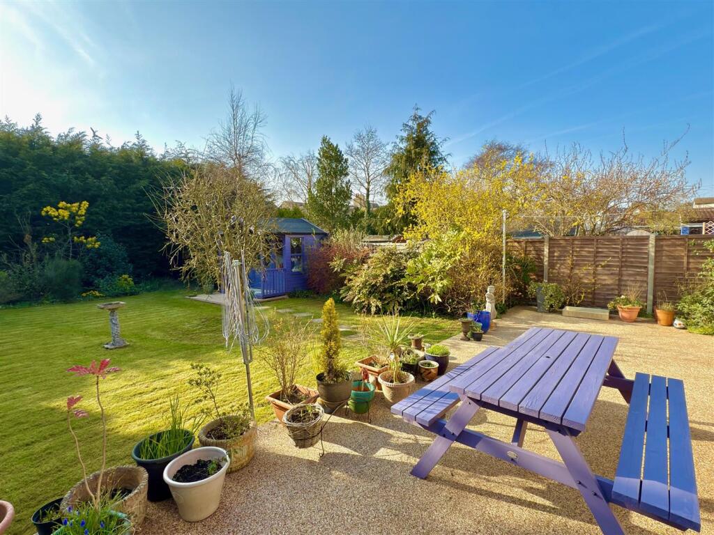 BACK GARDEN.jpg