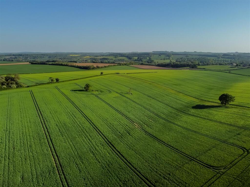 DJI_0927.jpg