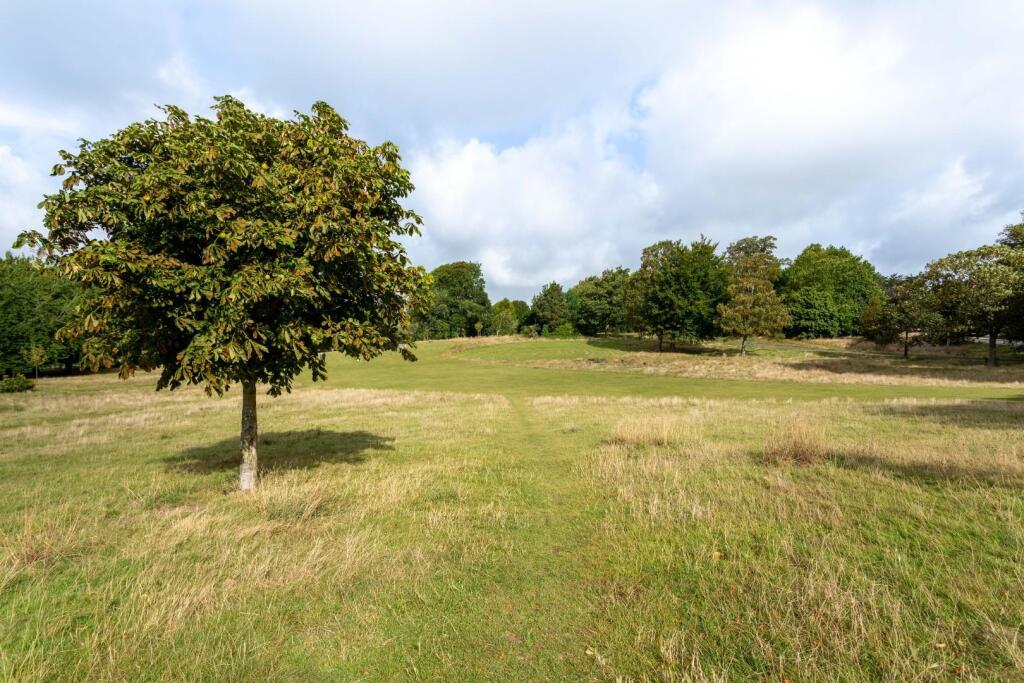 Hove Park late summer-1.jpg