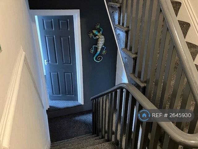 Landing / Stairs