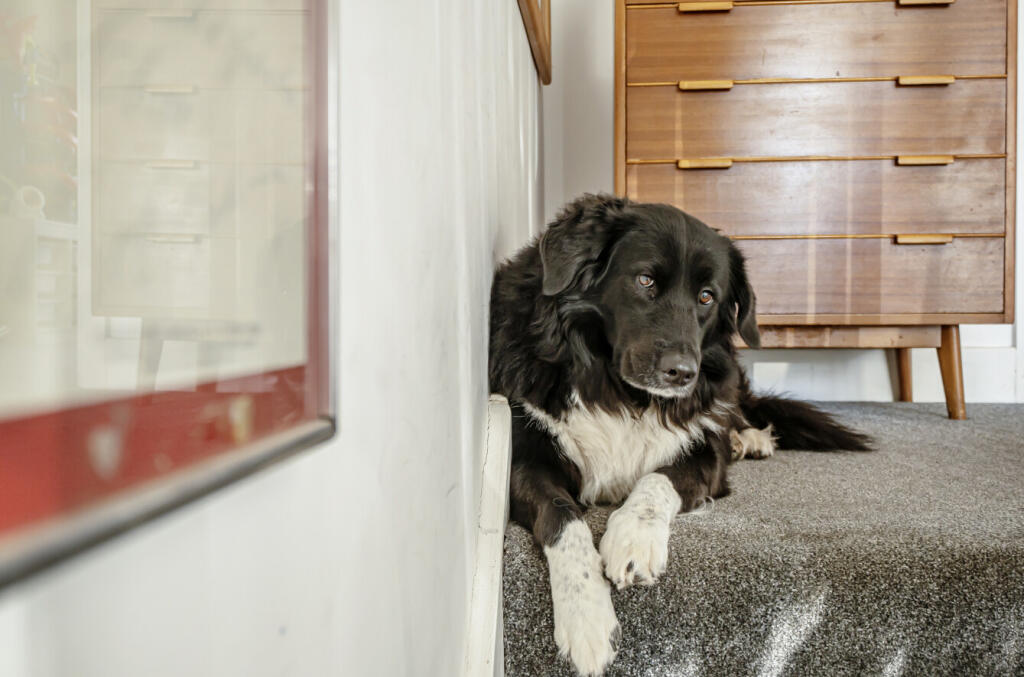 1363129-8-68e4dcf...