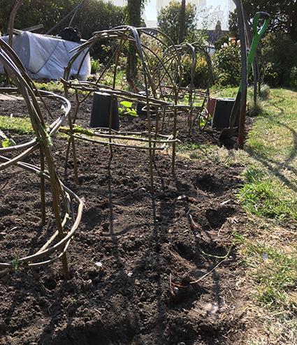 TAH Veg Garden web (1).jpg